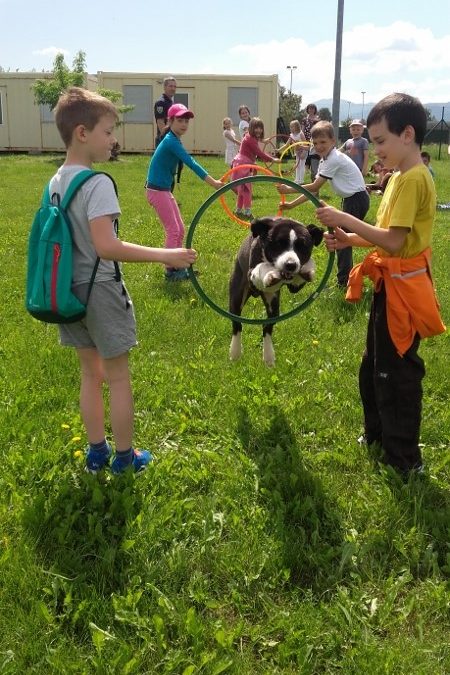 Zbiralna akcija ob svetovnem dnevu zapuščenih živali