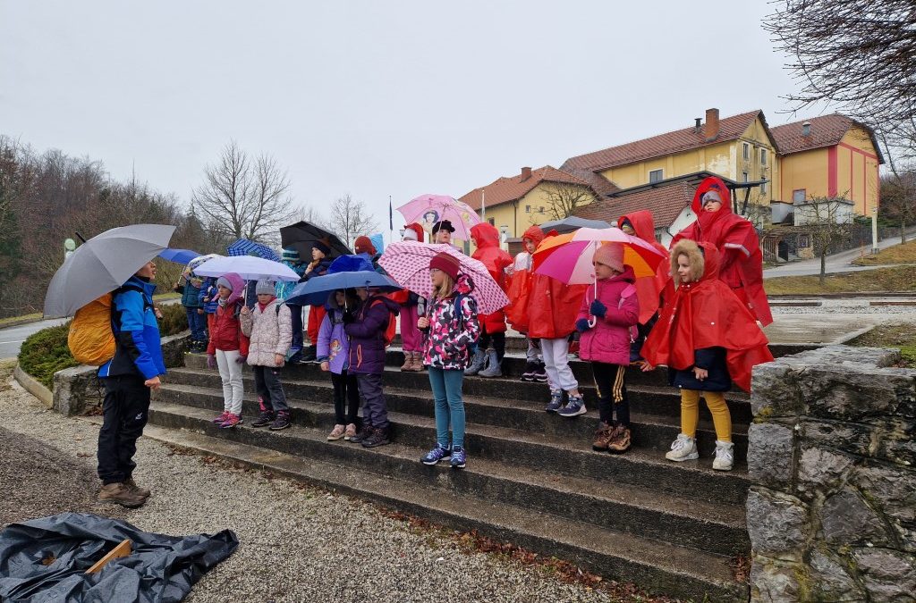 NARAVOSLOVNI TABOR  COŠD ČEBELICA 2.C