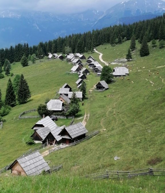 PLANINSKI IZLET NA PLANINO ZAJAMNIKI IN VIŠEVNIK
